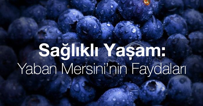 Sağlıklı Yaşam: Yaban Mersini’nin Faydaları